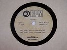 POLICE / STING- VERY RARE 12