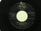 BOBBY CHRISTIAN The Spider And the Fly WING hear soundclip GARAGE/PSYCH
