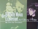 HILLBILLY MOON EXPLOSION feat Sparky DEMENTED ARE GO  7