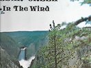 MONSTER RURAL FOLK ROCK PRIVATE PRESS LP CEDAR CREEK IN THE WIND