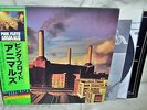 Pink Floyd ANIMALS Japanese Audiophile JAPAN Vinyl LP OBI Inserts w/ MFSL sleeve