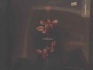 Depeche Mode Violator Vinyl