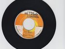 HIGH NOTE/FIG ROOT  -  REGGAE GEORGE    (70'S REGGAE ROOTS  7
