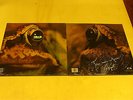 TOAD-same-LP reissue of 1971-super Hard Rock Band-Klappcover-foc