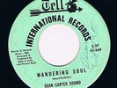 DEAN CARTER SOUND wandering soul / mary sue HEAR 60s GARAGE beat MOD psych