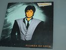 FANCY Flames of Love ITALO Disco Synth LP