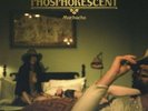 Phosphorescent - Muchacho (2013, Vinyl NEW)