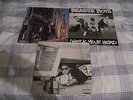 Beastie Boys -3 LP Lot Paul's Boutique Check Your Head Vinyl Ill Communication