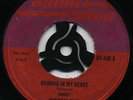 RAINING IN MY HEART / FIRST NOTE (Organ/DJ Instr)  DANDY ( UK Skinhead Reggae )?