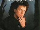 LEO SAYER - The moth and the flame ( PINO MANGO - Tu...si..) - 7