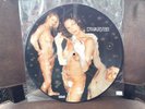 THE DWARVES 'Come Clean' picture disc lp record #666/2000 Epitaph, Coldfront