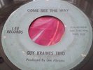 Rare Unknown Chicago Garage Punk Private Guy Kraines Trio Come See The Way HEAR