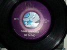 GO CAT GO 'PLEASE MAMA PLEASE' HARD TO FIND PICTURE SLEEVE 45..