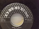 RED BERRY AND THE BEL-RAVES WHAT A DOLLY ORIGINAL DREEM ROCKABILLY M- 45 RARE