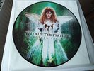WITHIN TEMPTATION limited Picture Vinyl LP Mother Earth (2003)