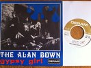 THE ALAN BOWN Gypsy Girl top '69 PSYCH italian 7