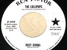 THE LOLLIPOPS | BUSY SIGNAL 45 | RCA VICTOR WLP | GIRL GROUP NORTHERN SOUL