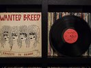 RARE Hard Rock Metal Grail WANTED BREED - Knights in Armor LP Private ©1986