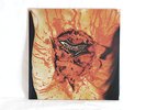 Dismember - Indecent And Obscene LP
