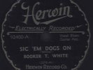 78 RPM RARE BLUES VOCAL GUITAR BY BUCCA WHITE ON HERWIN 92400 MUST SEE / E+NM