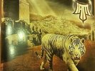 Revoir un Printemps [LP Version] by IAM (Vinyl, Oct-2003, , Virgin)
