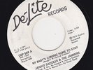 70'S SOUL RECORDS  45 RPM - JANICE SADDLER AND THE JAMMERS on DE-LITE RECORDS