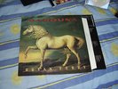 Bryan Ferry – Mamouna – RARE Vinyl LP 1994