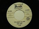 RICKY JONES Hate To Say Goodbye HERALD DJ hear soundclip