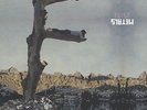 FEIST-METALS-VINYL LP POLYDOR NEW
