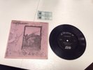 Led Zeppelin 7