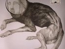 THEE OH SEES - Putrifiers II EP - LP + MP3 download code