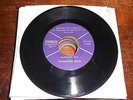 Brother Will Hairston DETROIT BLUES R&B 45  Alabama Bus / Rev King had a Time