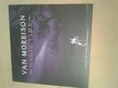 Van Morrison Magic Time Vinyl/LP
