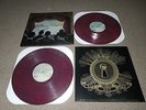 Fall Out Boy - From Under The Cork Tree Vinyl LP Maroon /1500 - RARE OOP MINT
