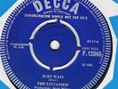 RARE MOD/BEAT/FREAKBEAT-THE UNTAMED-JUST WAIT/SO LONG-UK DECCA DEMO