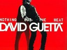 David Guetta - Nothing But the Beat   2LPNEU