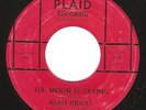 Rockabilly 45 ALAN RIDDLE 