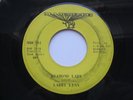 LARRY LYNN Diamond Lady Mammoth Garage Heavy Psych Fuzz 45 HEAR