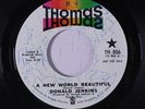 DONALD JENKINS: A New World Beautiful / Fighting For My Baby 45 (dj) Soul