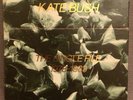 Kate Bush The Single File