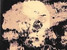 THE UNDERGROUND YOUTH - BEAUTIFUL & DAMNED  VINYL EP NEUF
