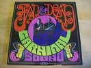 JAN & DEAN - CARNIVAL OF SOUND - RARE 12