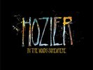HOZIER in the woods somewhere SEALED RSD Black Friday 10