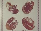Spriguns - Jack With A Feather (LP) LIKE: MANDY MORTON/EXTRADITION/WOODEN HORSE/