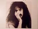 FRANK ZAPPA JOE'S CAMOUFLAGE GATEFOLD PICTURE DISC UNPLAYED RAR