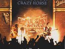 Neil Young & Crazy Horse - Weld -  33 RpM 12 ' Vinyl 2 Lp 's  in  Faltcover