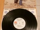 STEVE YOUNG DJ LP ROCK SALT & NAILS RURAL FOLK PSYCH GRAM PARSONS GENE CLARK WLP