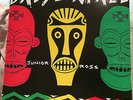JUNIOR ROSS 'BABYLON FALL' RARE ROOTS REGGAE JAMAICAN STARS LP 1992