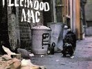PETER GREEN'S FLEETWOOD Fleetwood Mac 180G VINYL LP