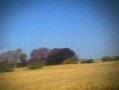 Sun Kil Moon   Benji   2xLP OOP Clear Vinyl   NEW & SEALED   Red House Painters